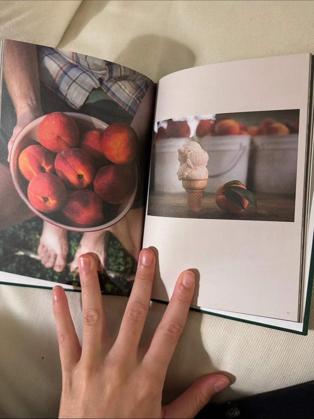 Peach by Amanda Greene from Bitter Southerner